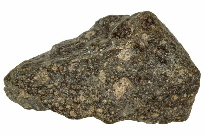 Abadla CM Chondrite Meteorite ( g) - Algeria #313056